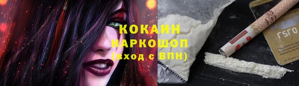 тгк Бородино