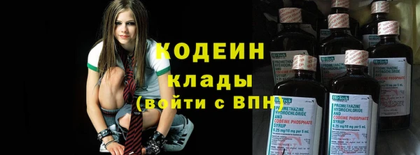тгк Бородино