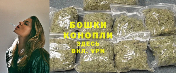 гидра Бронницы