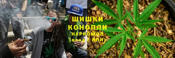 тгк Бородино