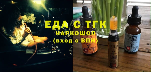 тгк Бородино