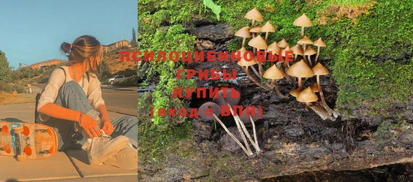 тгк Бородино
