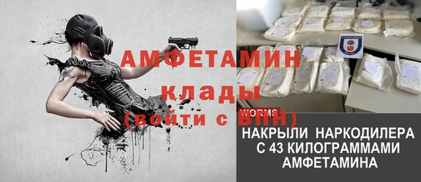 тгк Бородино