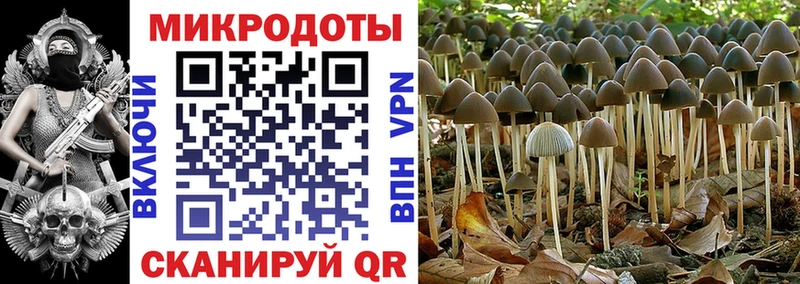 Псилоцибиновые грибы Cubensis  Купить закладки  Воркута 